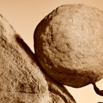 Perseverance: Understanding the business of writing