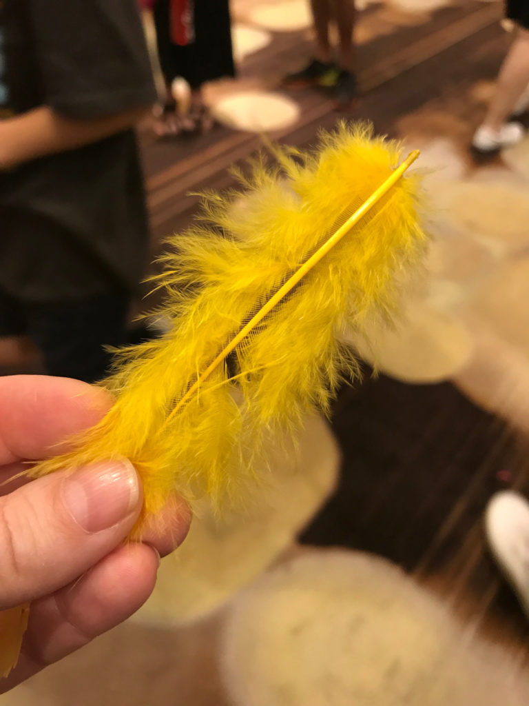 Big Bird Gave Me A Feather