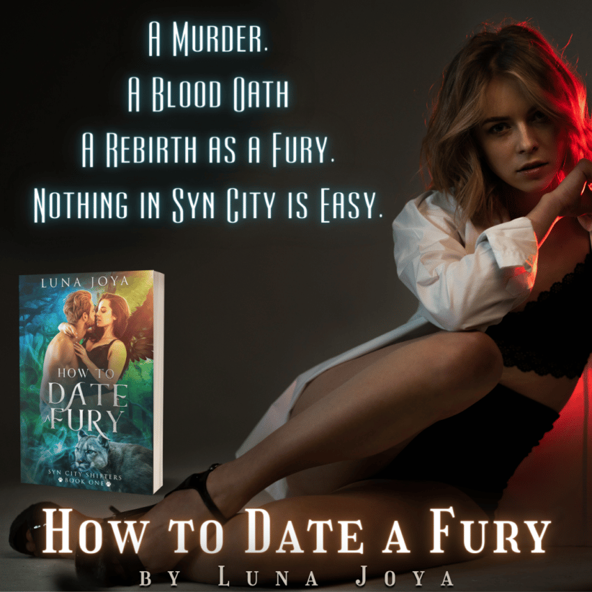 cover of How to Date a Fury