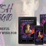 Excerpt from Wish Magic